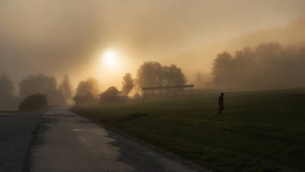 Misty Ochtend Het Sloveense Platteland Herfst Presentatie Van Een Prachtige — Stockfoto