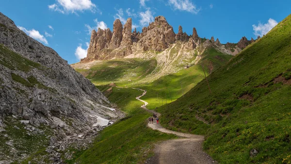 イタリアのドロミテ山脈の牧草地をハイキング — ストック写真