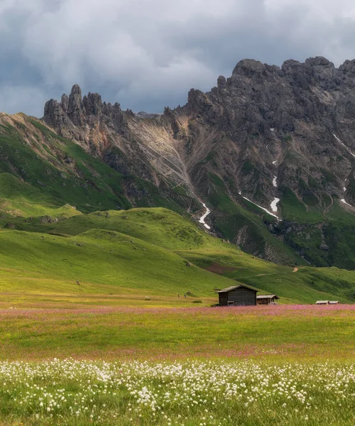 セイザー アルムのドロミテ山脈の牧草地にコテージ — ストック写真