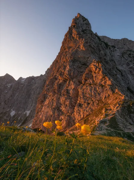 Καλοκαίρι Στην Julian Άλπεις Ορεινό Τοπίο — Φωτογραφία Αρχείου