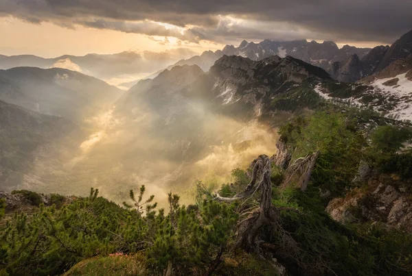 美丽的夏日早晨 在朱利安阿尔卑斯山畔 — 图库照片