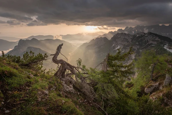 Όμορφο Καλοκαιρινό Πρωινό Στα Βουνά Του Julian Alps — Φωτογραφία Αρχείου