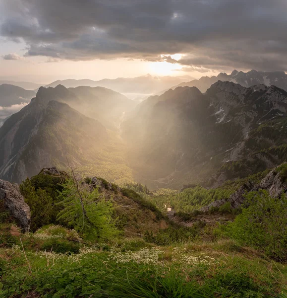 Όμορφο Καλοκαιρινό Πρωινό Στα Βουνά Του Julian Alps — Φωτογραφία Αρχείου