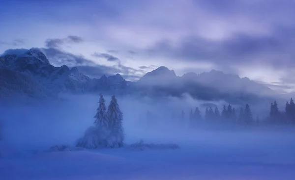 Forest Mountains Foggy Winter Evening — Stock Photo, Image