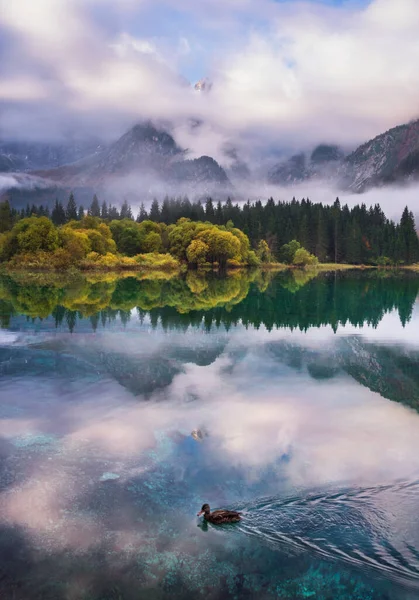 美丽的秋天湖边阴郁的风景 — 图库照片