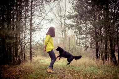 Küçük siyah köpek kızla