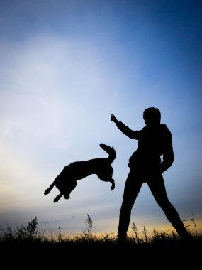 Siluet, insan ile köpek sıçramak
