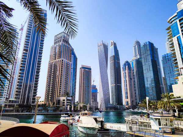 Harbor with yacht, tall buildings, palm trees and water
