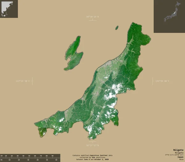 日本の新潟県 センチネル 2衛星画像 有益なオーバーレイと固体背景に隔離形状 修正されたコペルニクスセンチネルデータが含まれています — ストック写真