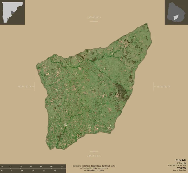 Florida Uruguay Departmanı Sentinel Uydu Görüntüleri Bilgilendirici Örtülerle Sağlam Arkaplanda — Stok fotoğraf