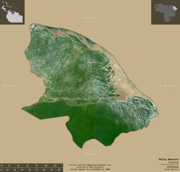 Delta Amacuro Stato Del Venezuela Immagini Satellitari Sentinel Forma Isolata — Foto Stock