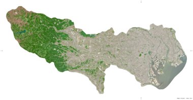 Tokyo, Japonya 'nın metropolü. Sentinel-2 uydu görüntüleri. Beyaz üzerinde izole edilmiş şekil. Tanımı, başkentin yeri. Değiştirilmiş Kopernik Sentinel verileri içerir