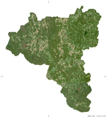 Valga, Estonya eyaleti. Sentinel-2 uydu görüntüleri. Beyaz üzerinde izole edilmiş şekil. Tanımı, başkentin yeri. Değiştirilmiş Kopernik Sentinel verileri içerir