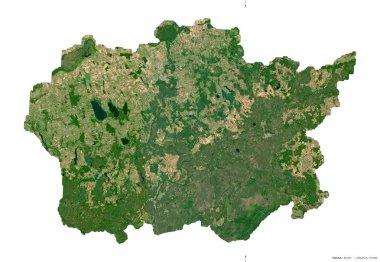 Alytaus, Litvanya Bölgesi. Sentinel-2 uydu görüntüleri. Beyaz üzerinde izole edilmiş şekil. Tanımı, başkentin yeri. Değiştirilmiş Kopernik Sentinel verileri içerir