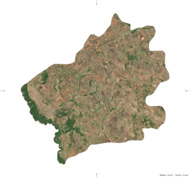 Falesti, Moldova bölgesi. Sentinel-2 uydu görüntüleri. Beyaz üzerinde izole edilmiş şekil. Tanımı, başkentin yeri. Değiştirilmiş Kopernik Sentinel verileri içerir