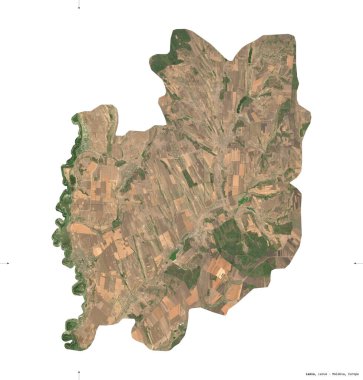 Leova, Moldova bölgesi. Sentinel-2 uydu görüntüleri. Beyaz üzerinde izole edilmiş şekil. Tanımı, başkentin yeri. Değiştirilmiş Kopernik Sentinel verileri içerir