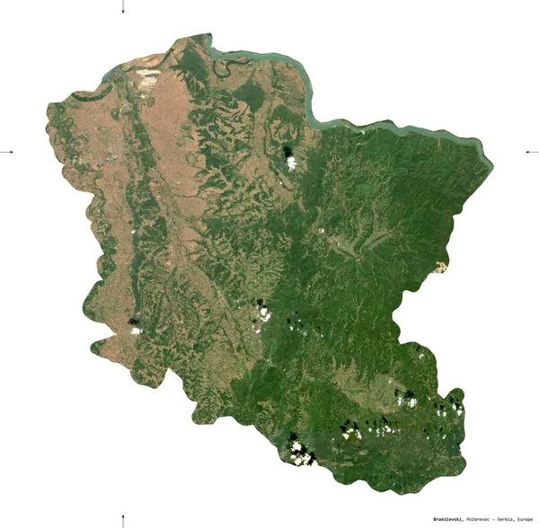 Branicevski, Sırbistan bölgesi. Sentinel-2 uydu görüntüleri. Beyaz üzerinde izole edilmiş şekil. Tanımı, başkentin yeri. Değiştirilmiş Kopernik Sentinel verileri içerir