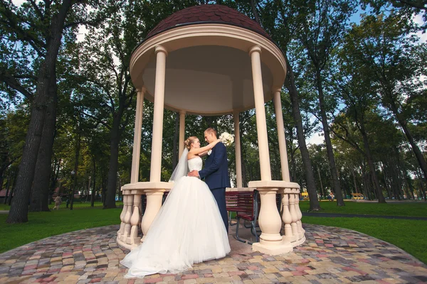 Noiva e noivo no casamento no parque — Fotografia de Stock