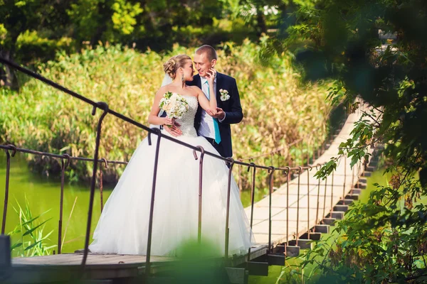 Novia con novio en el puente en el bosque — Foto de Stock