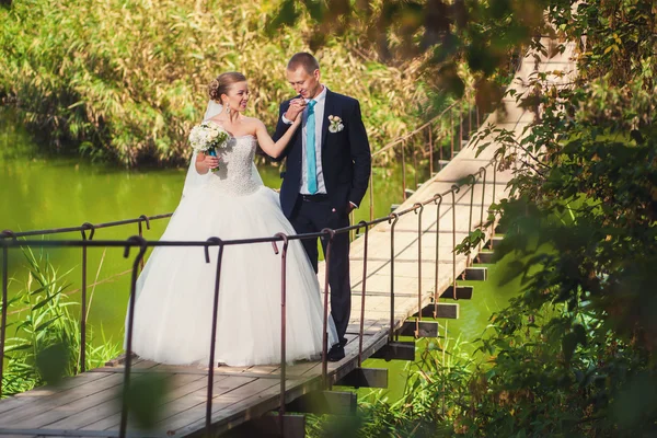 Bruid met de bruidegom op de brug in bos — Stockfoto