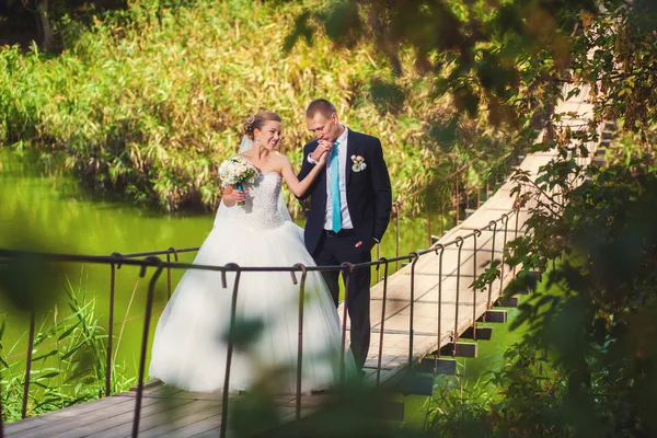 Braut mit Bräutigam auf der Brücke im Wald — Stockfoto