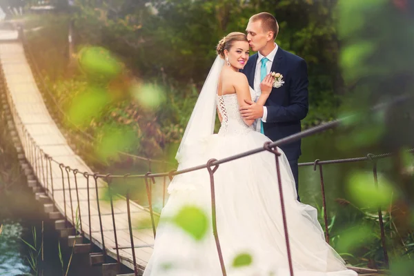 Nevěsta s ženichem na mostě v lese — Stock fotografie