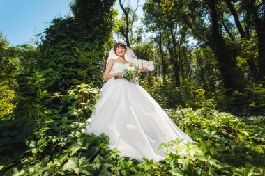 Gelin Bayan işaretiyle ormandaki