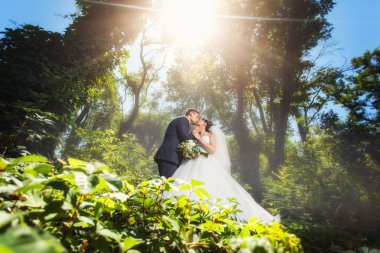 Gelin ve damat yaz ormandaki