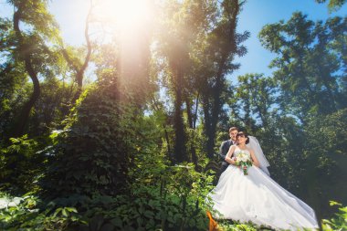 Gelin ve damat yaz ormandaki