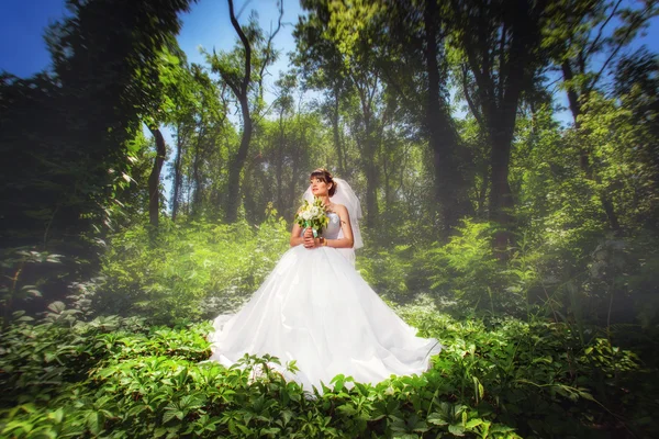 Noiva na floresta — Fotografia de Stock