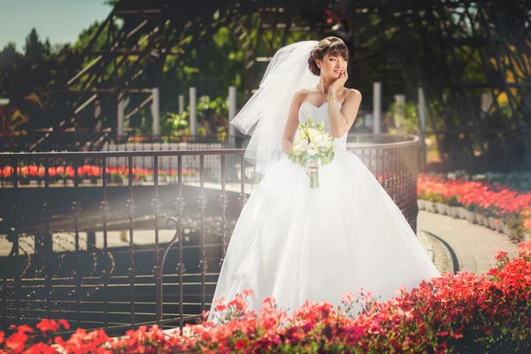 Nevěsta v letním parku — Stock fotografie