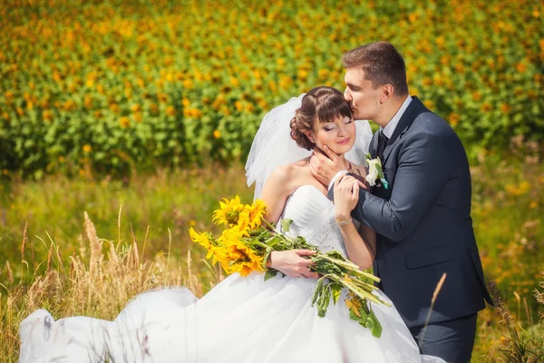 Esküvő házaspár és napraforgó — Stock Fotó