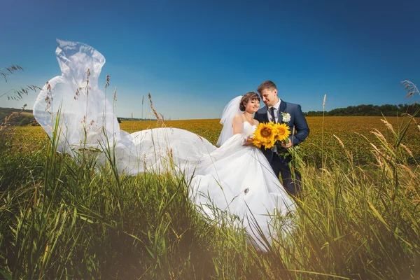 Pareja de boda y girasoles —  Fotos de Stock