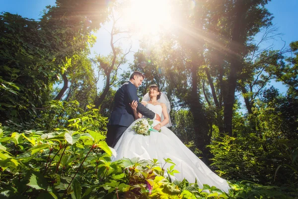 Bruid en bruidegom in zomer bos — Stockfoto