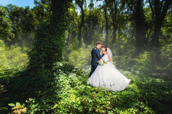 Nevěsta a ženich v létě lese — Stock fotografie