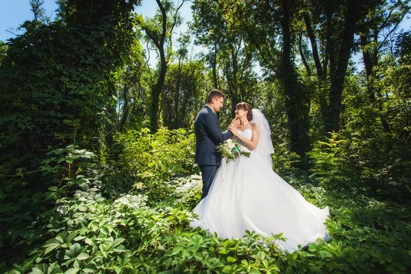 Noiva e noivo na floresta de verão — Fotografia de Stock