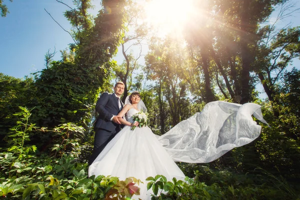 Bruden och brudgummen i sommar skog — Stockfoto