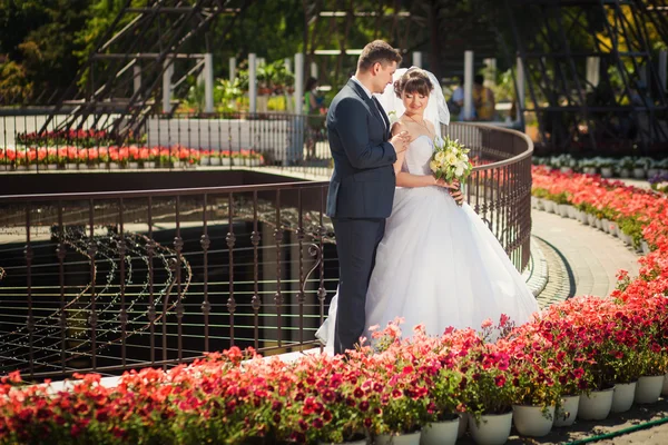 Nevěsta a ženich v letním parku — Stock fotografie