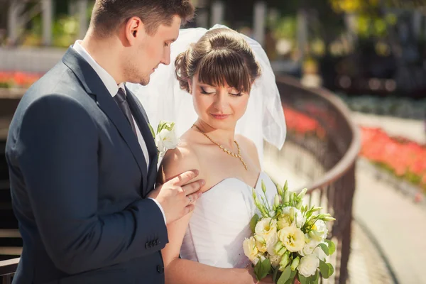 Novia y novio en el parque de verano —  Fotos de Stock