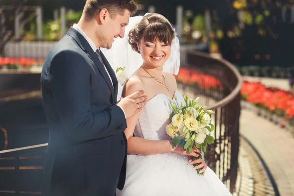 Bride and groom in summer park — Stock Photo, Image