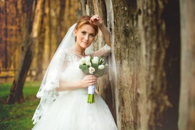 Şaşırtıcı sonbahar orman içinde gelin