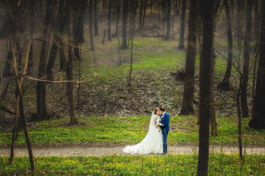Düğün çifti ve sonbahar orman