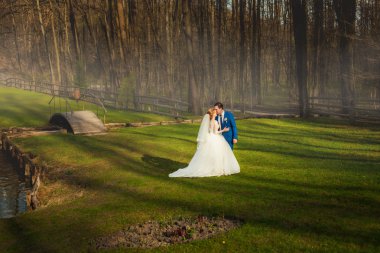 Sonbahar orman ve gelinle damat.