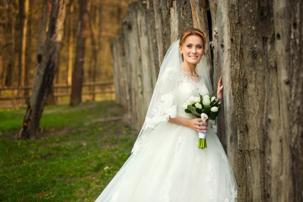 Bride in amazing autumn forest — Stock Photo, Image