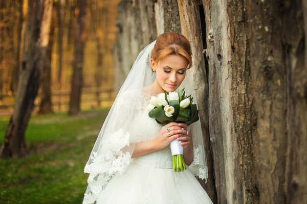 Bride in amazing autumn forest — Stock Photo, Image