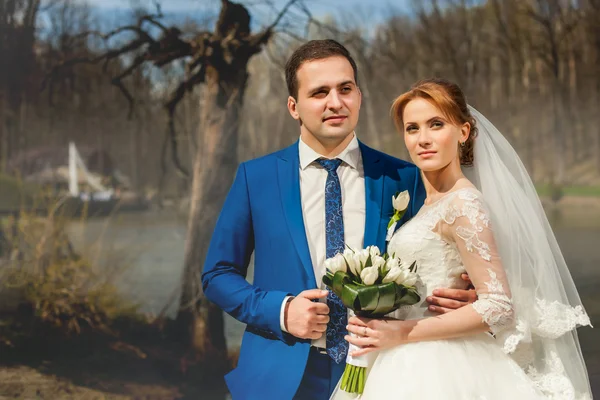 성인 커플 결혼식의 초상화 — 스톡 사진