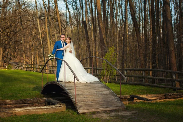 Svatební pár na mostě v lese — Stock fotografie