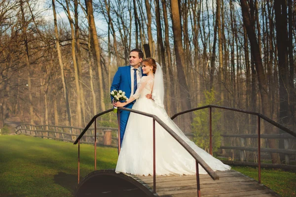 Casamento casal na ponte na floresta — Fotografia de Stock