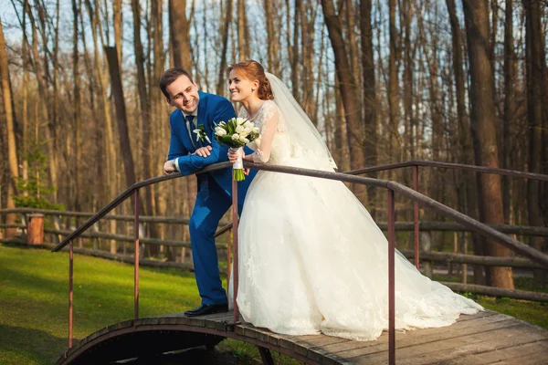 Svatební pár na mostě v lese — Stock fotografie