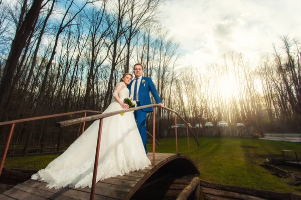 Pareja de boda en el puente en el bosque — Foto de Stock